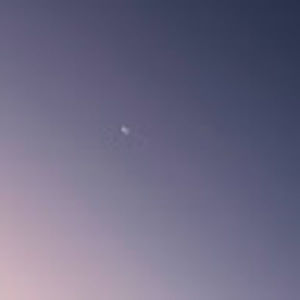 Meet your Posher, Cate_solby